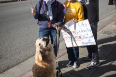 17 Jan 2026 -No War -Redwood City,(ProBonoPhoto/Sonny Mencher)