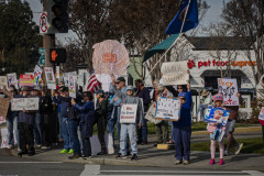 17 Jan 2026 -No War -Redwood City,(ProBonoPhoto/Sonny Mencher)
