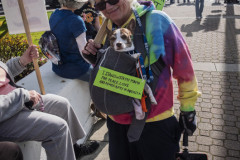 17 Jan 2026 -No War -Redwood City,(ProBonoPhoto/Sonny Mencher)